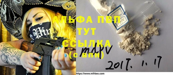 сатива Верея